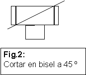 Cabeza del buscador